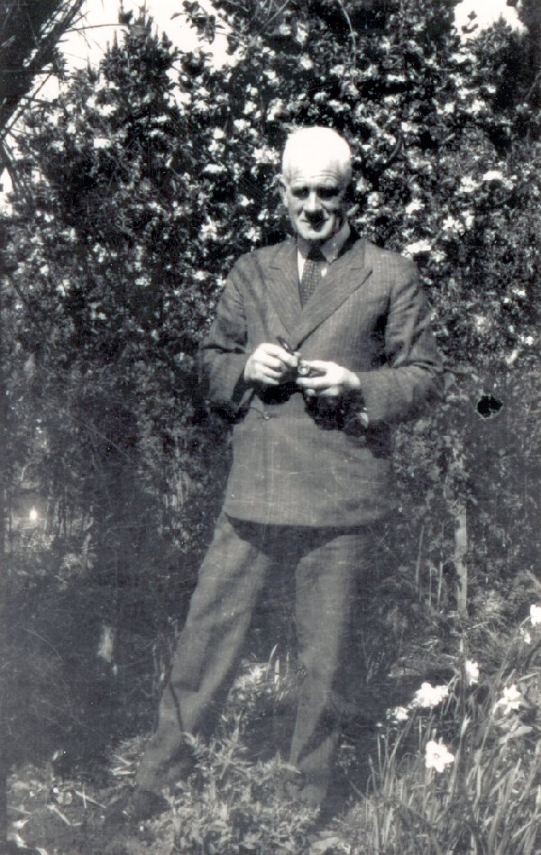 Full-size image