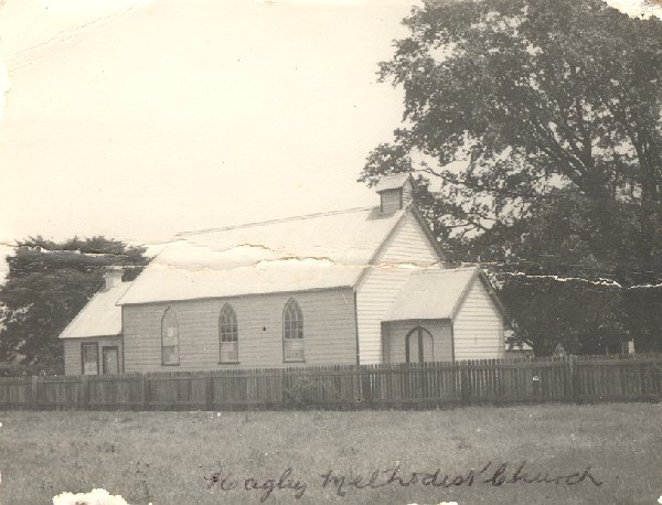 Full-size image