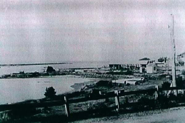 Full-size image