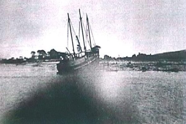 Full-size image