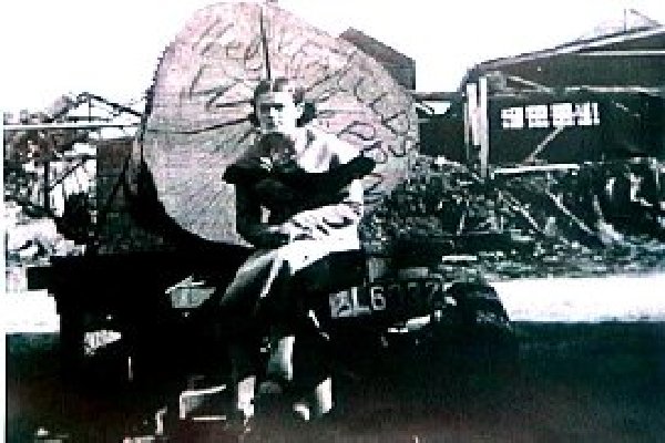Full-size image
