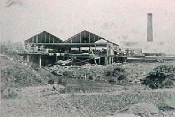 Full-size image