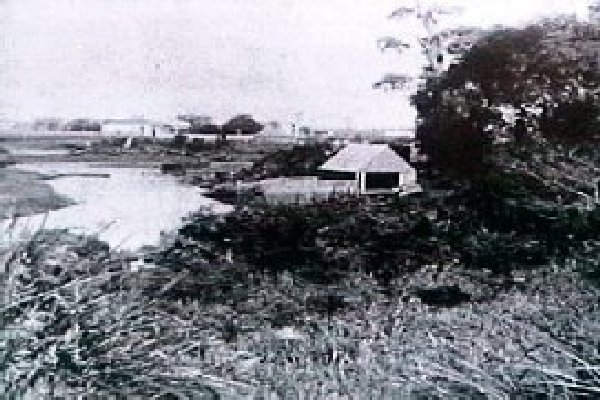 Full-size image