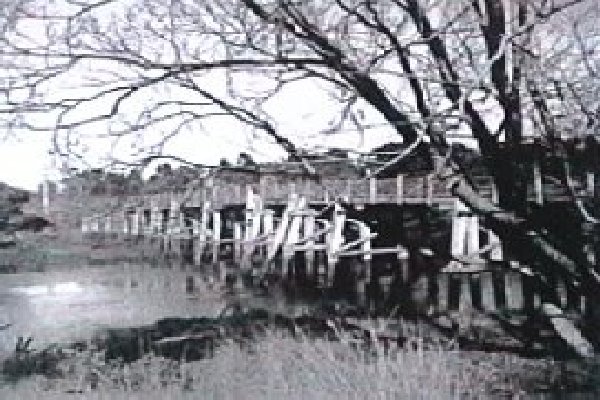 Full-size image