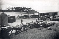 Full-size image