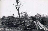 Full-size image