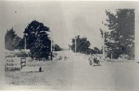 Full-size image