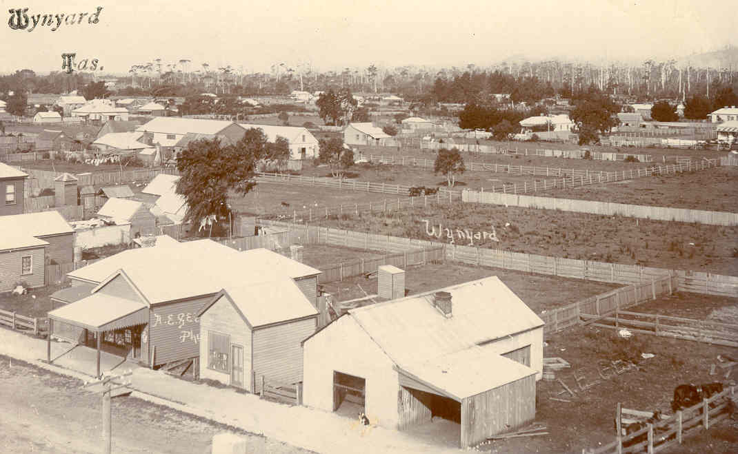 Full-size image